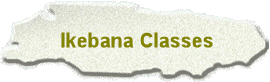 Ikebana Classes